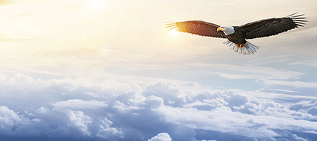 AG真人娱乐- AG真人平台(集团)官方网站