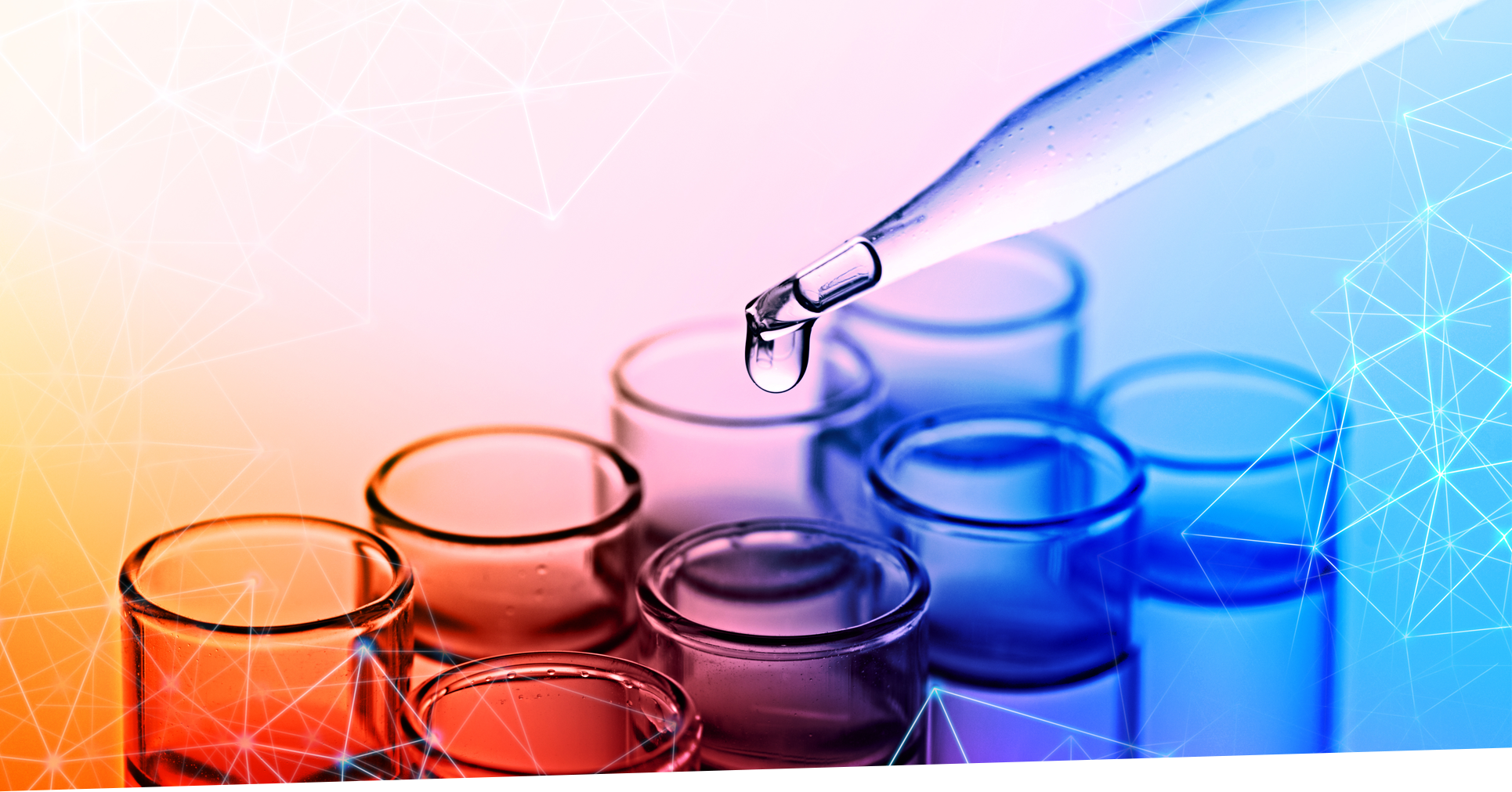 AG真人娱乐- AG真人平台(集团)官方网站