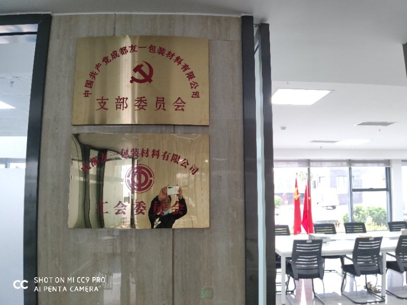 热烈祝贺AG真人娱乐集团成都分公司党支部在2020年3月11日授牌建设，支部书记曹云(行政部司理)